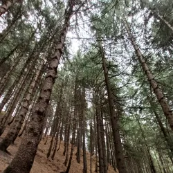 Jogini Waterfall - Manali