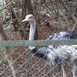 Pilikula Nisargadhama - Mangalore