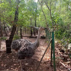 Pilikula Nisargadhama - Mangalore