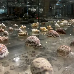 St. Aloysius Chapel - Mangalore