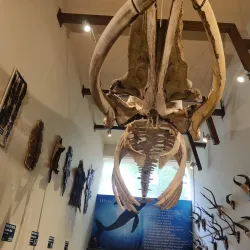 St. Aloysius Chapel - Mangalore