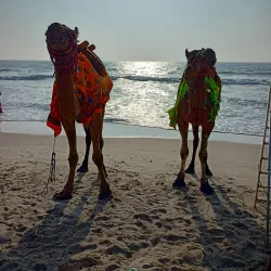 Tannirbhavi Beach - Mangalore