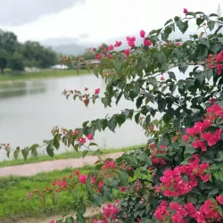 Andro Village - Manipur