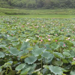 Andro Village - Manipur
