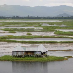 Keibul Lamjao National Park - Manipur