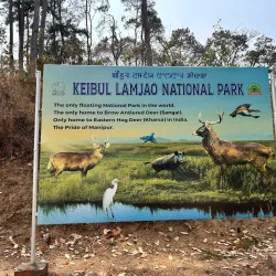 Keibul Lamjao National Park - Manipur
