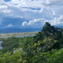 Keibul Lamjao National Park - Manipur