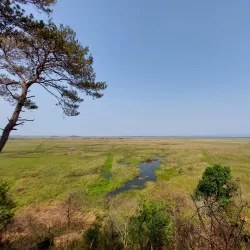 Keibul Lamjao National Park - Manipur