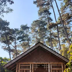 Keibul Lamjao National Park - Manipur