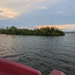Keibul Lamjao National Park - Manipur