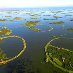 Loktak Lake - Manipur