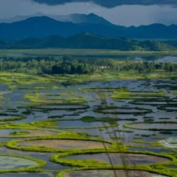 Loktak Lake - Manipur