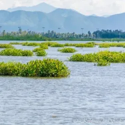 Loktak Lake - Manipur