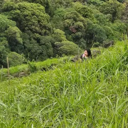Sirohi National Park - Manipur