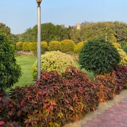 Village Walks Around Manwat - Manwat