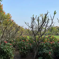 Village Walks Around Manwat - Manwat