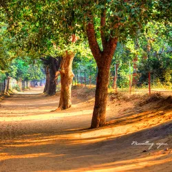 Govardhan Hill - Mathura