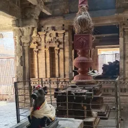 Kamalalayam Temple - Mayiladuthurai