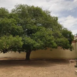 Sivayoginathar Temple - Mayiladuthurai