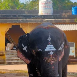 Thirukkadaiyur Temple - Mayiladuthurai