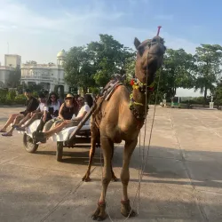 Balaram Palace and Wildlife Sanctuary - Mehsana (Mahesana)