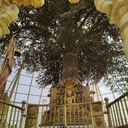 Kadi Jain Temple - Mehsana (Mahesana)