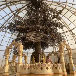 Kadi Jain Temple - Mehsana (Mahesana)