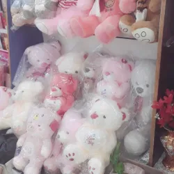 Local Handicrafts Market - Moga