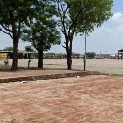 Moga Agricultural Market - Moga