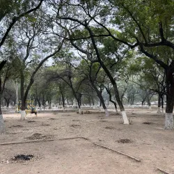 Moga Public Park - Moga