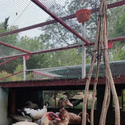 Moga Public Park - Moga