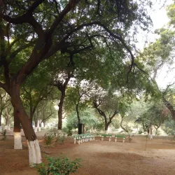 Moga Public Park - Moga
