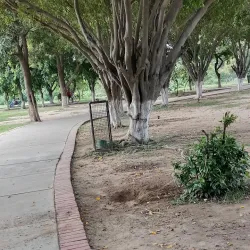 City Park Mohali - Mohali (Sahibzada Ajit Singh Nagar)