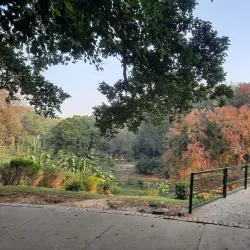 City Park Mohali - Mohali (Sahibzada Ajit Singh Nagar)