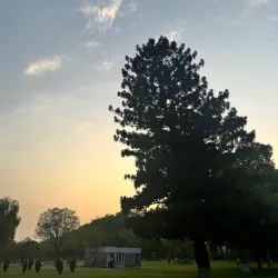 Rose Garden Mohali - Mohali (Sahibzada Ajit Singh Nagar)