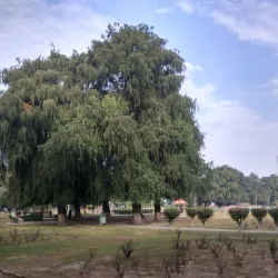 Rose Garden Mohali - Mohali (Sahibzada Ajit Singh Nagar)