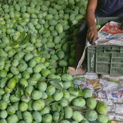 Motihari Market - Motihari
