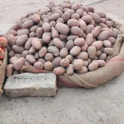 Motihari Market - Motihari