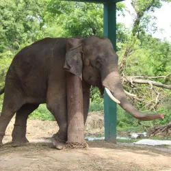 Valmiki National Park - Motihari