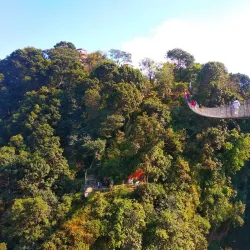 Valmiki National Park - Motihari