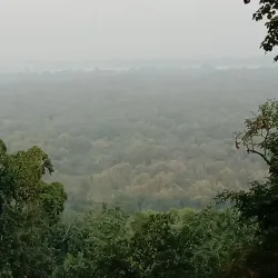 Valmiki National Park - Motihari