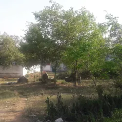 Dargah Hazrat Shah Wilayat - Muzaffarnagar