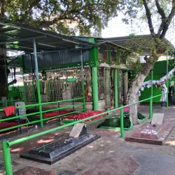 Dargah Hazrat Shah Wilayat - Muzaffarnagar
