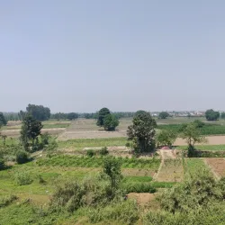 Kali Mandir - Muzaffarnagar