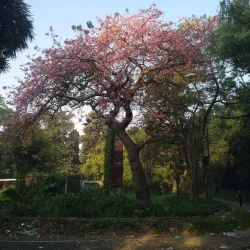 Saharanpur Botanical Garden (nearby) - Muzaffarnagar