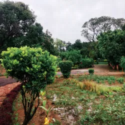 Saharanpur Botanical Garden (nearby) - Muzaffarnagar