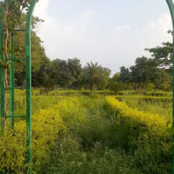 Saharanpur Botanical Garden (nearby) - Muzaffarnagar