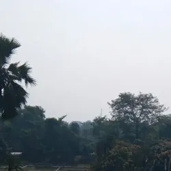 Litchi Gardens - Muzaffarpur