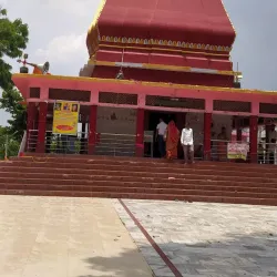 Litchi Gardens - Muzaffarpur