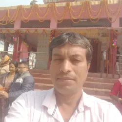 Litchi Gardens - Muzaffarpur